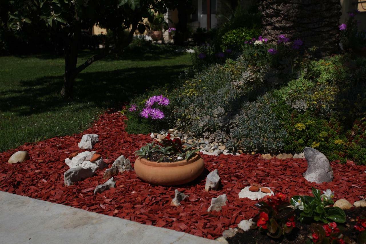 Apartments Kresan Zadar Dış mekan fotoğraf